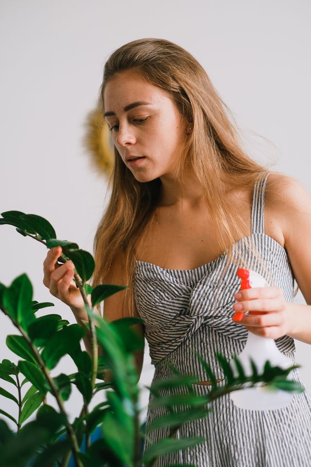 Hoe lees je een kamerplant? Zo vertelt je plant wat hij nodig heeft